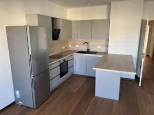 Einbauküche IMG_0238: Moderne, graue Küchenzeile mit Edelstahl-Kühlschrank und Holzelementen in einer 2-Raum-Wohnung.